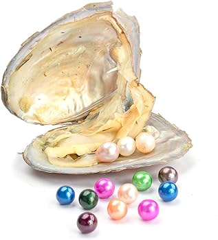 Oysters for Opening