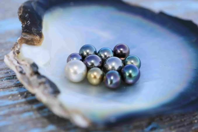 Tahitian Pearls