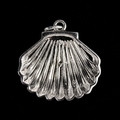 Treasured Shell Pearl Pendant
