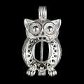 Silver Owl Pearl Cage