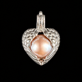 Guardian Angel Edison Pearl Cage