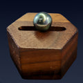 Lagoon Peacock Tahitian Pearl