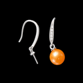 Simple Sparkle Fish Hook Earrings