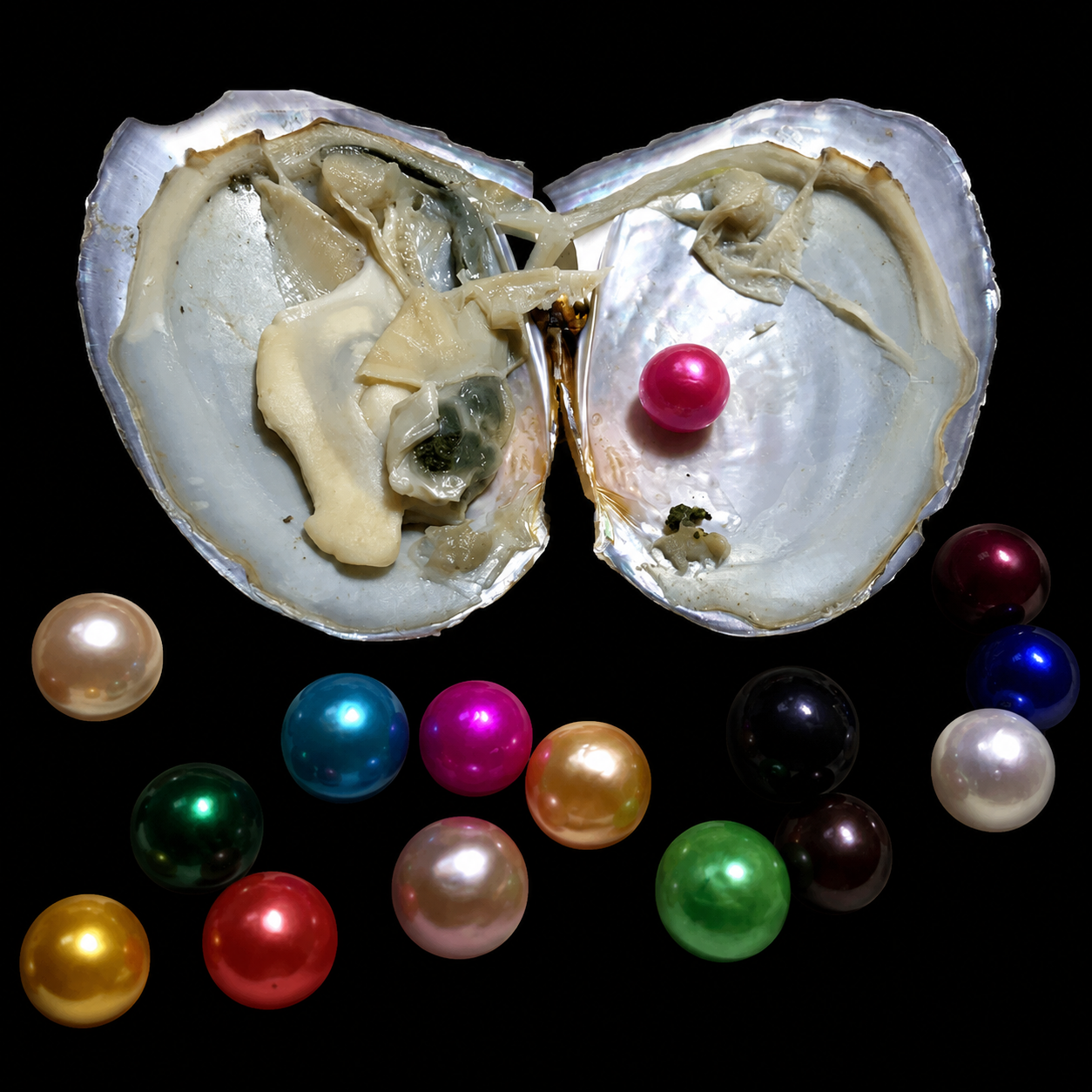 Colored Edison Pearl Oyster