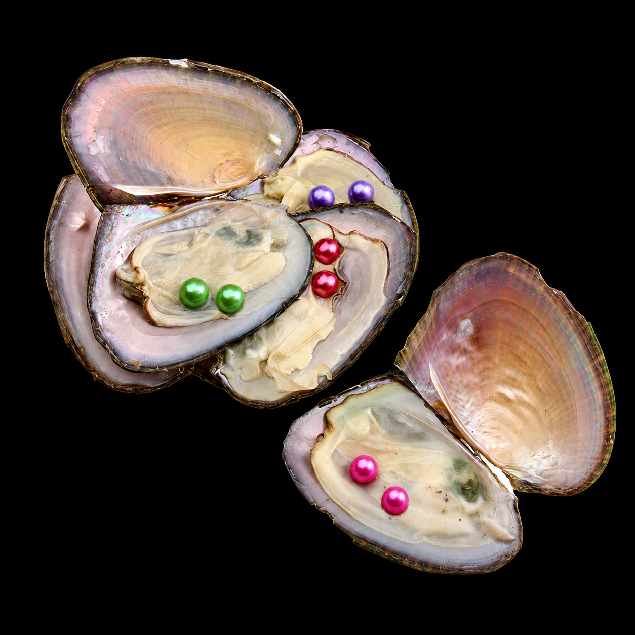 Twin Mini Pearl Oyster