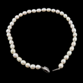 White Pearl Necklace