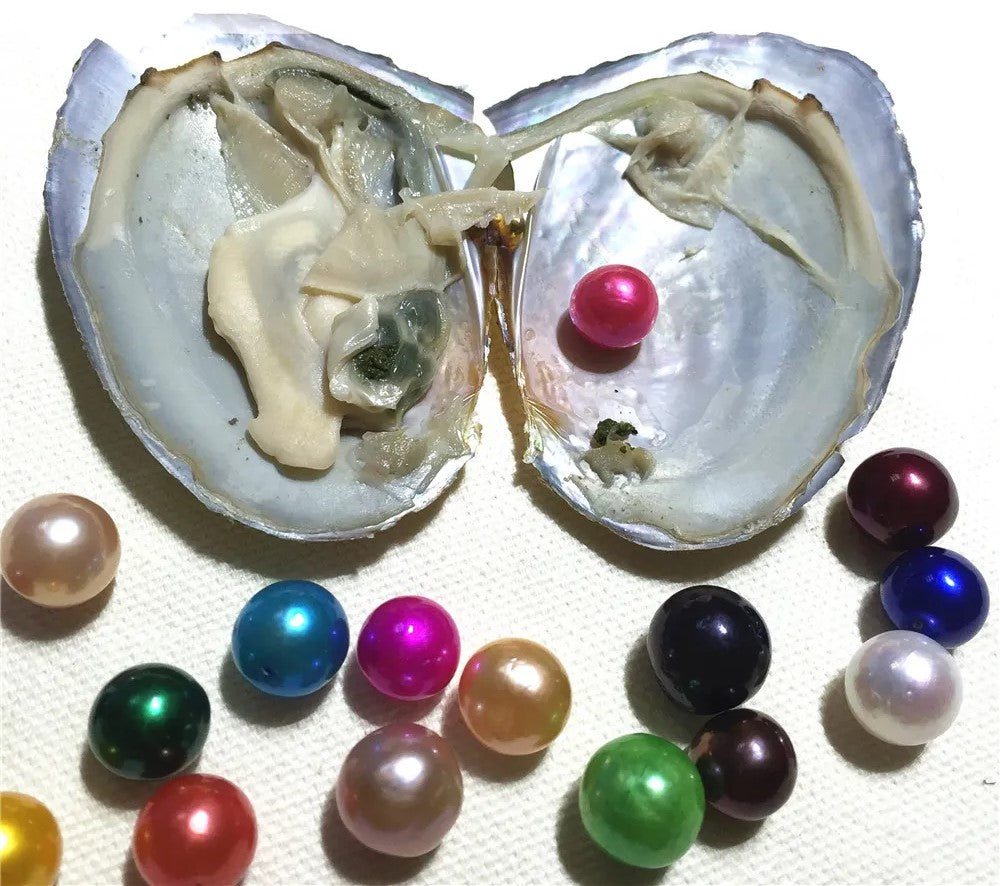 Colored Edison Pearl Oyster